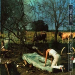 Tori Amos - Caught A Lite Sneeze [UK-1] Album Cover