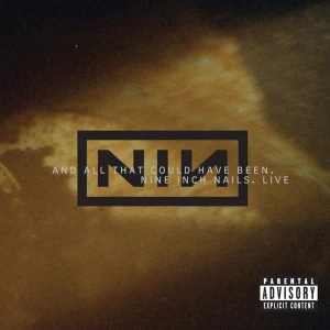 Nine Inch Nails - And All That Could Have Been Album Cover